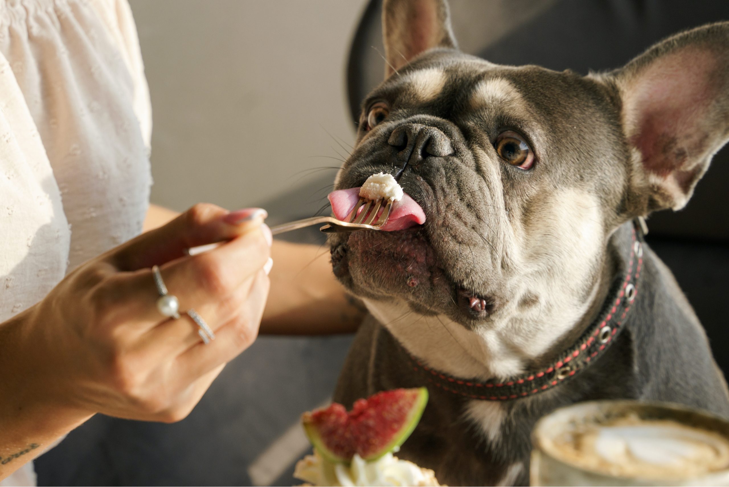 braverypetfood