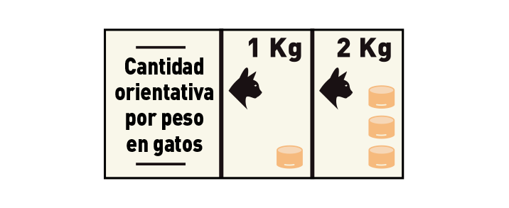 Plantilla comida de gato