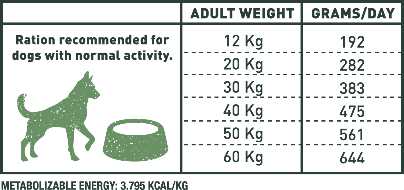 Chicken adult large