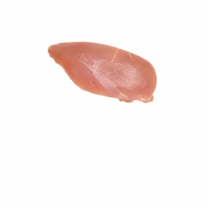 PECHUGA