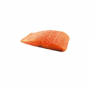 SALMON
