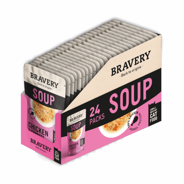 BRAVERY SOUP SALMON & PUMPKIN