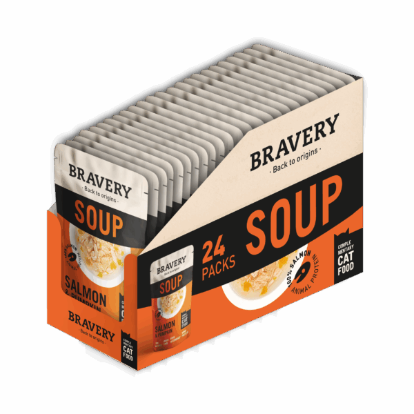 BRAVERY SOUP SALMON & PUMPKIN
