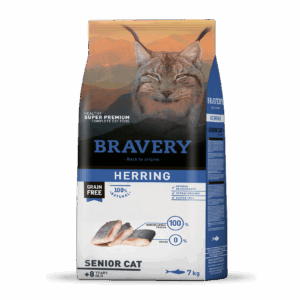 Bravery herring senior
